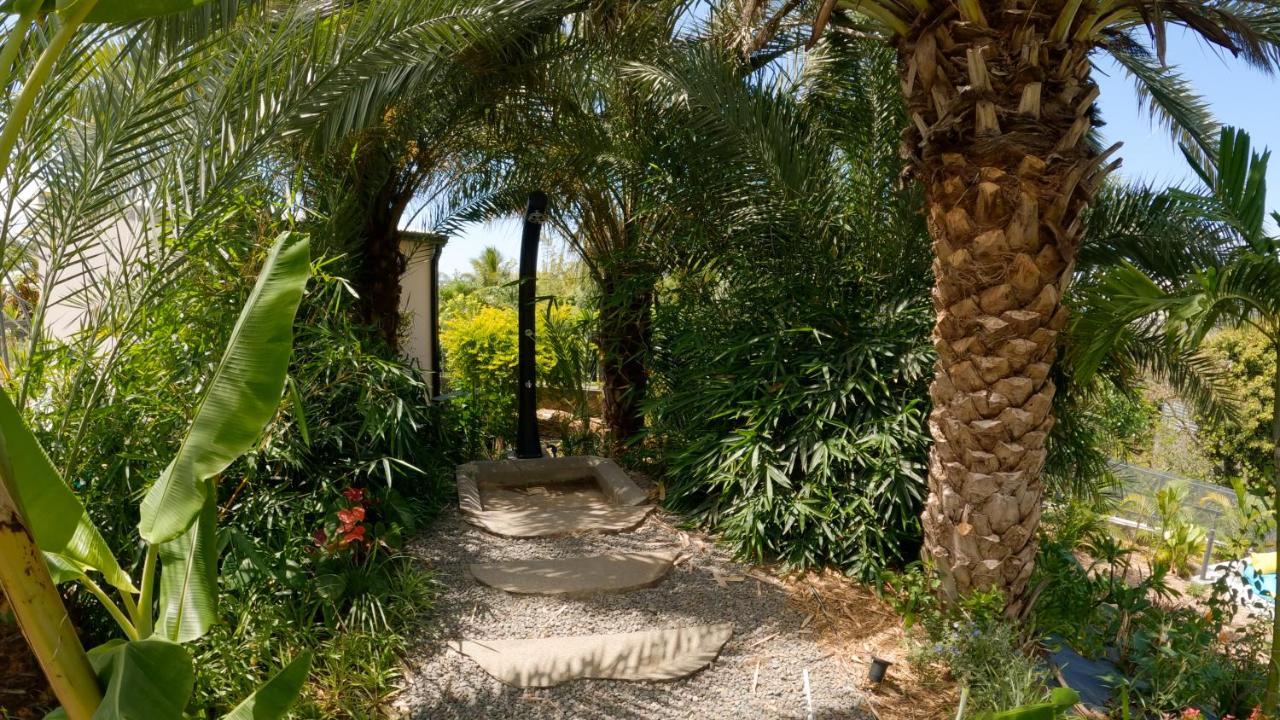 O Ruisseau Lodges - Lodge Dattier Saint-Louis Buitenkant foto